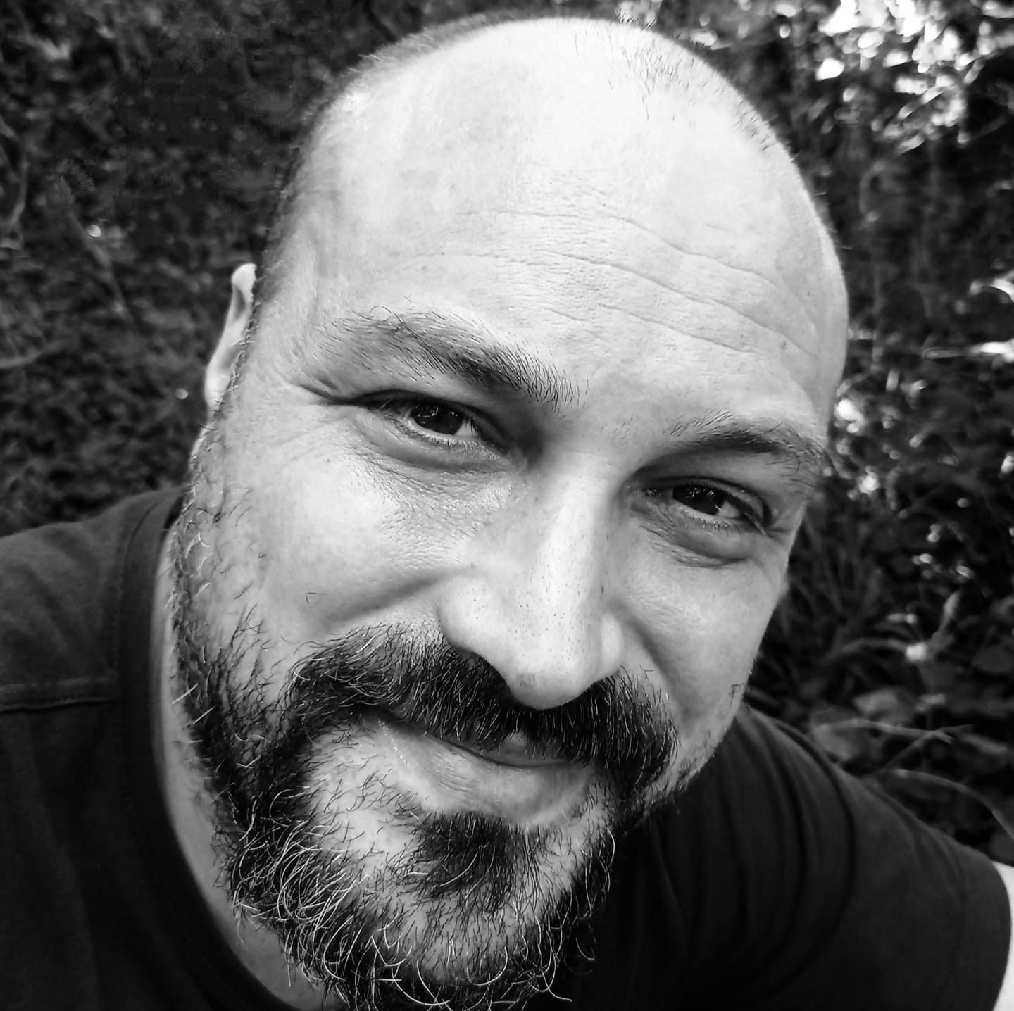 Adriano Toccafondi